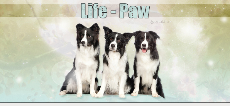 Life - Paw